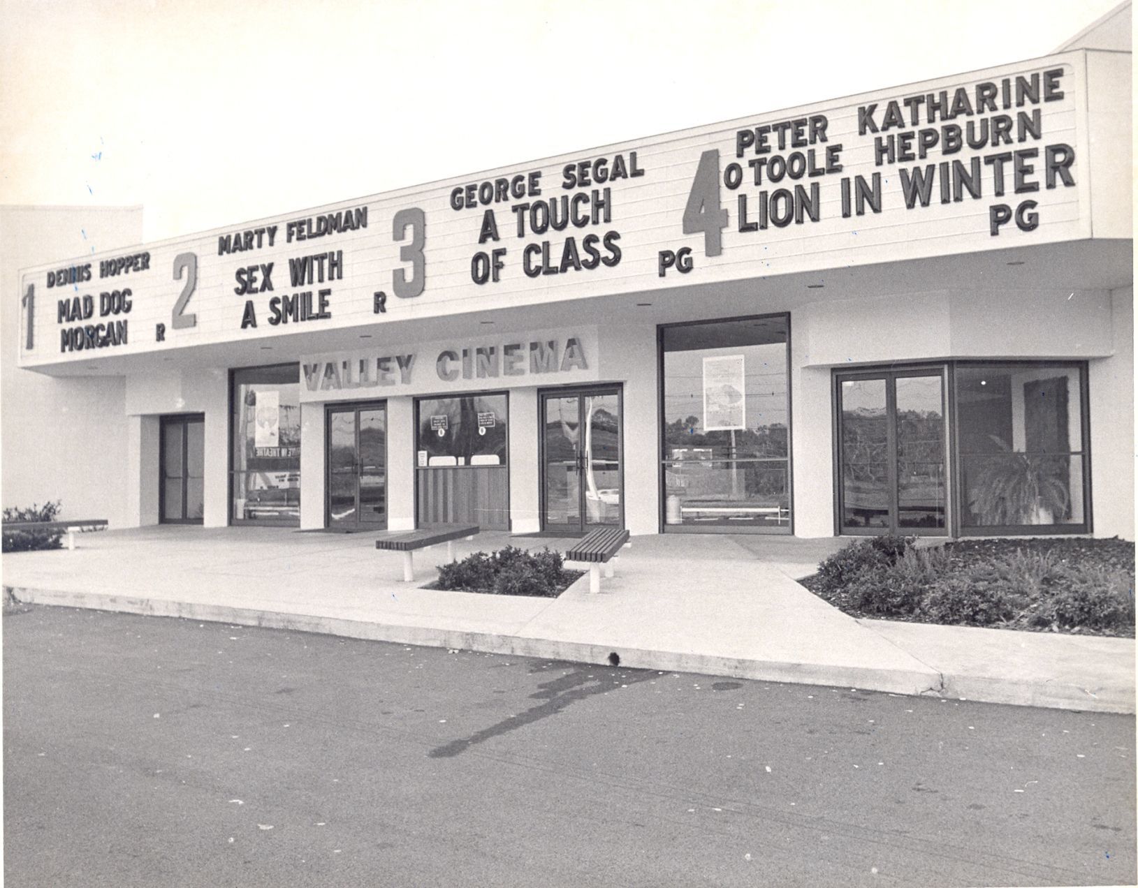 Valley cinema